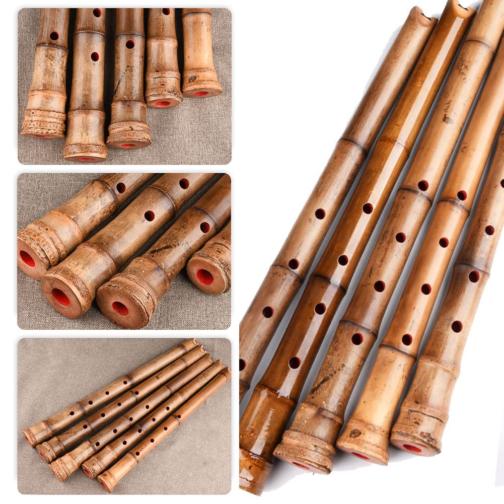 Amazon | 6インチ尺八、4穴Eフルート楽器、プロ品質、様々な